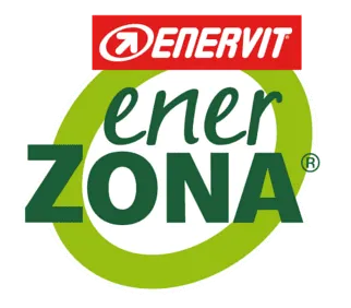Лого на Enerzona